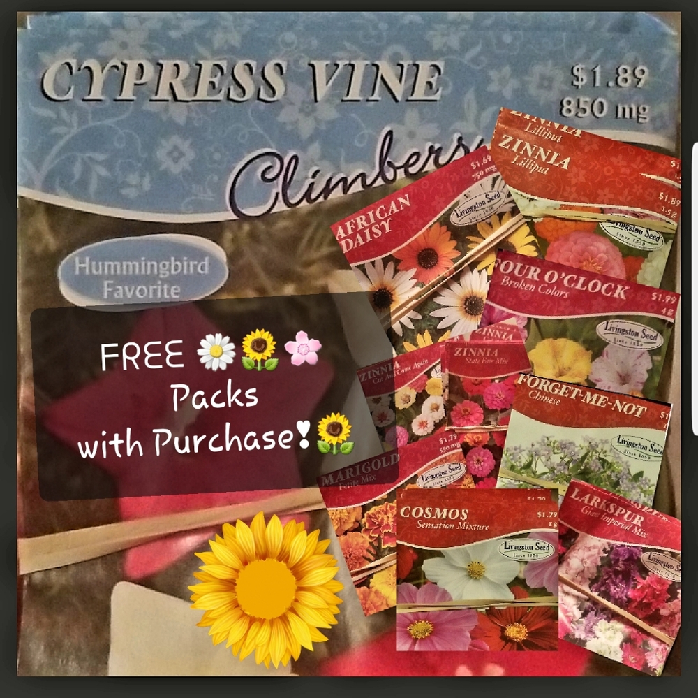 ๐ผ ๐๐ฅ๐๐ Flower pkg w/ purchase๐ฆ๐ - Picture 3 of 16